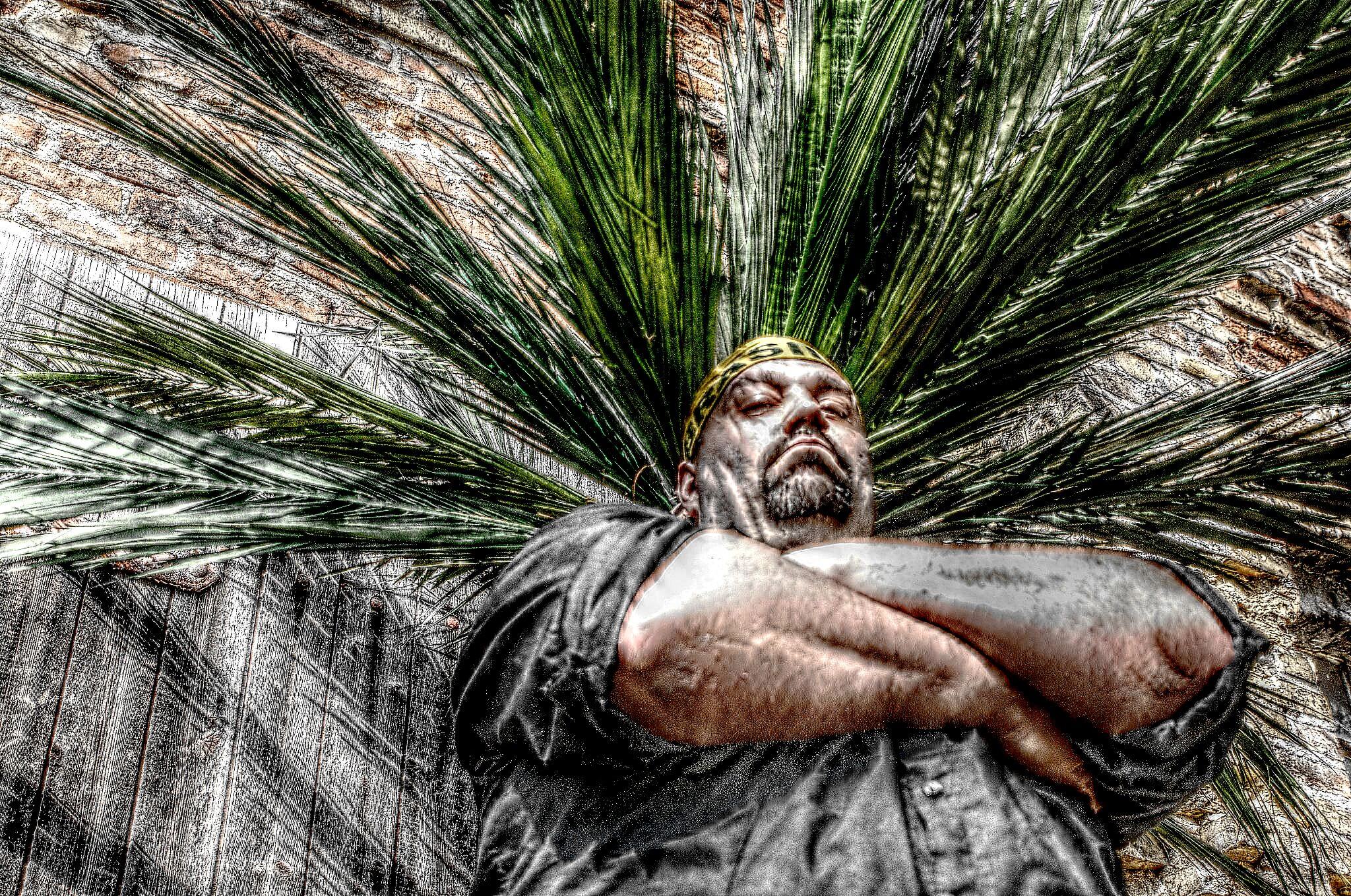 Caipimann – El Palmero